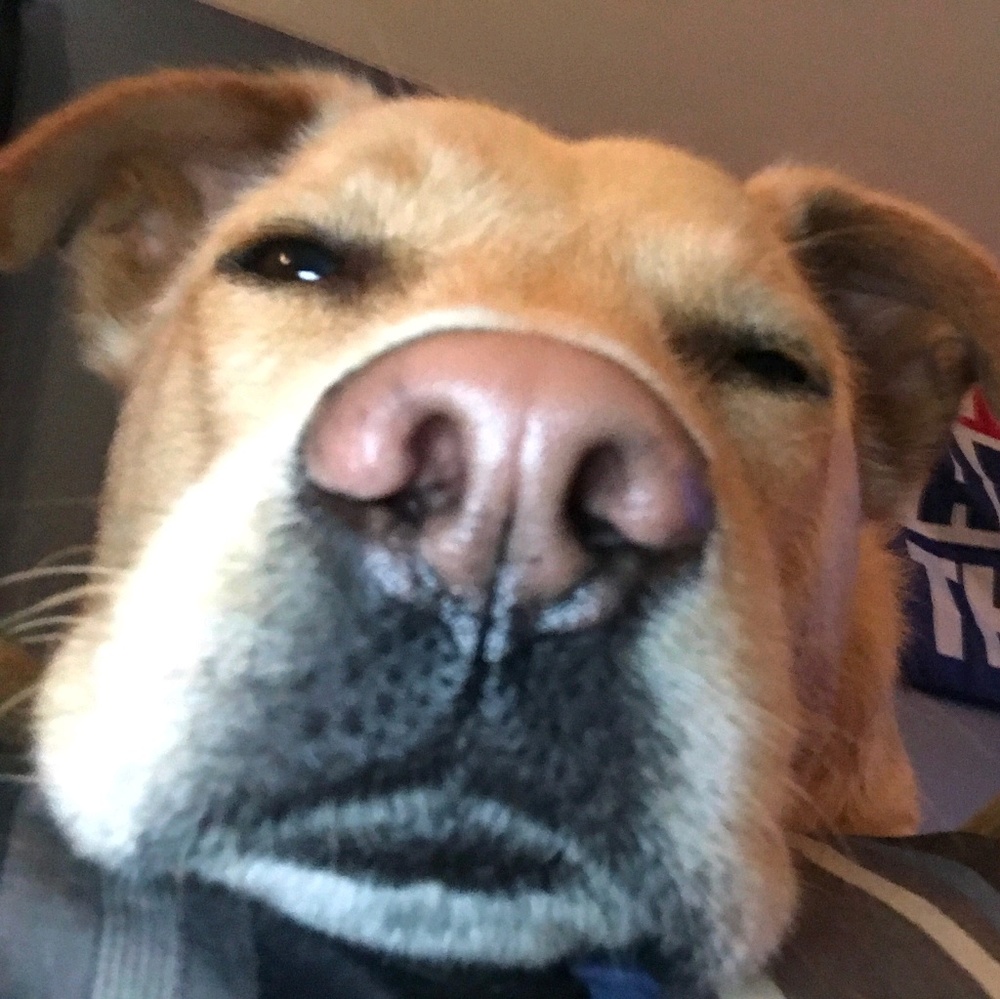 Meet your Posher, Christine